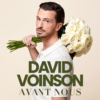 David Voinson